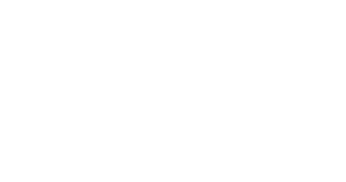 גינדי החזקות